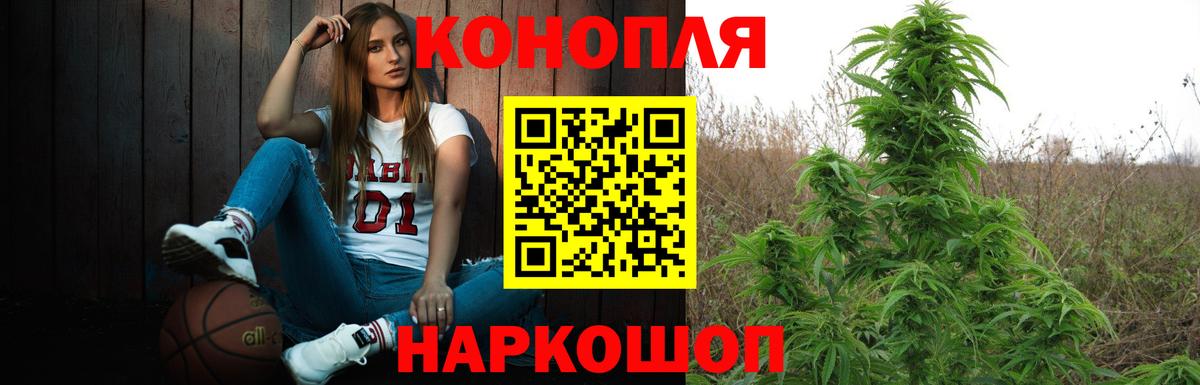 Бошки марихуана семена Электрогорск